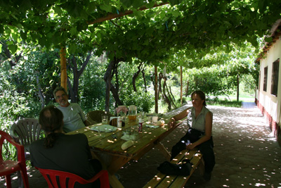 081 IMG_7452 Arnie with Gretel and Ken under the canopy of grapes.jpg